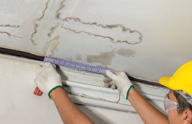 Reliable Water Damage contractor in Kendall Park, NJ by Water Damage Irwin